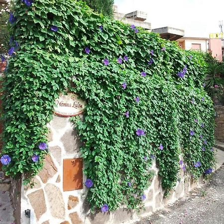 B&B Nonna Luisa Tarquinia Exteriör bild